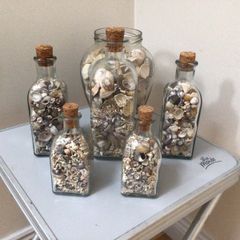 Sea shells in bottles