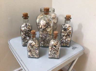 Sea shells in bottles