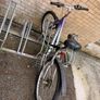 bike Image 2