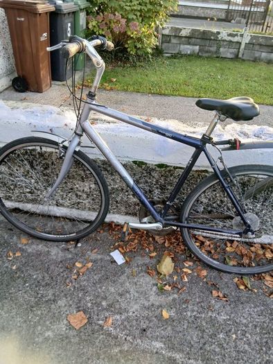 bikes