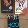 YA Dystopian & Teen Fiction Book Bundle (The Hunger Games, The 100) Image 3
