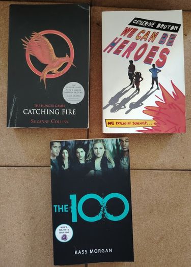 YA Dystopian & Teen Fiction Book Bundle (The Hunger Games, The 100)