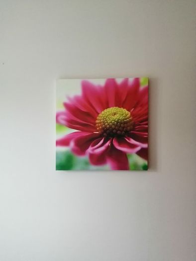 Canvas Picture