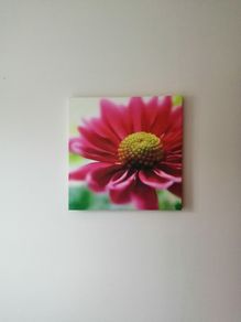 Flower Picture on canvas