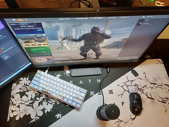 Full gaming setup