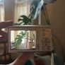 Sanyo E10 Digital Camera Image 3
