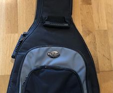 Electric guitar