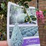 Buxus Sempervirens Image 4