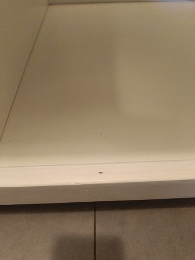 changing table mama's and papas
