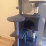 Cat Tree Image 2