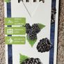 Thornless Blackberry Plants Image 2