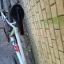 mountain bike Image 4