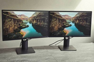 Dell P2417H 24-inch Monitors (Price for 2)