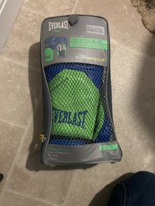 everlast gloves
