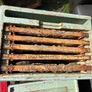 Bee Hive Image 2