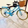 A Brand new Ryedale  Harriet adult bicycle Image 2