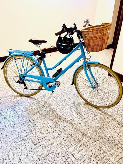 A Brand new Ryedale  Harriet adult bicycle