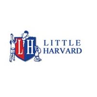 Little Harvard Creche Jobs in Ireland