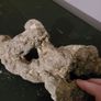 marine rocks Image 2
