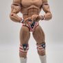 WWE Lex Luger Elite 30 Wrestling Figure Image 4
