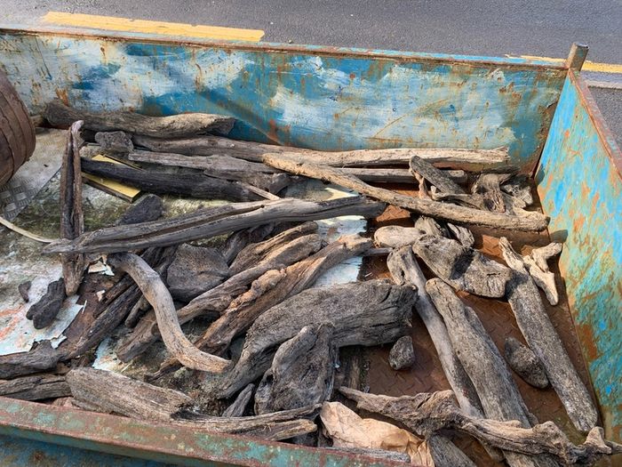 Substantial Collection of Old Bog Oak. Delivery by van can be arranged.