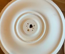 Pair of decorative white ceiling roses for chandeliers or pendant lights.