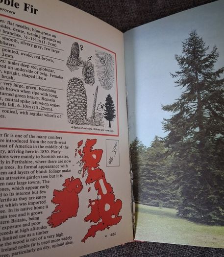 The Guiness Book of Trees / 1st ed.,  1981