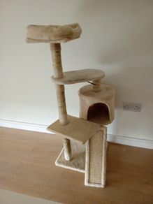 cat tree