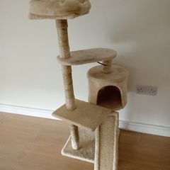 cat tree