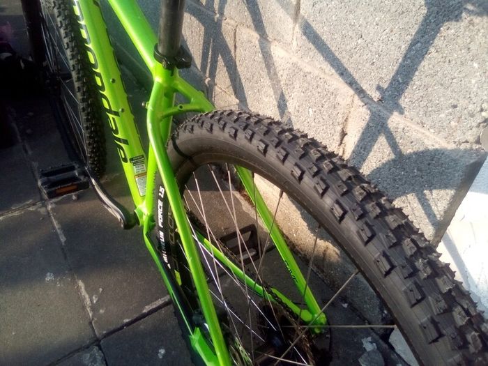 Cannondale Trail