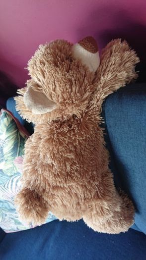 American Bear / Teddy Bear Holder / Soft Teddy Bear