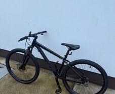 Carrera Bike Adult