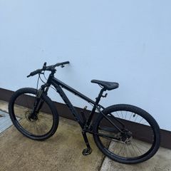 Carrera Bike Adult