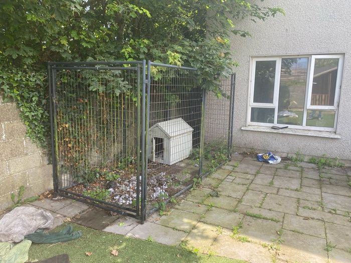 Dog Run