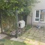 Dog Run Image 2