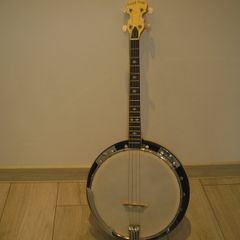 Gold Tone Tenor banjo