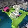 Large cage for hamster/ gerbils/ mice. Cage accessories Image 3