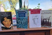Classics bundle (Stendhal, Wilde, Joyce, Hesse)