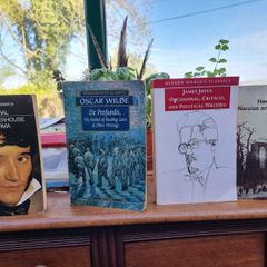 Classics bundle (Stendhal, Wilde, Joyce, Hesse)
