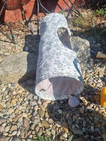 cat tunnel