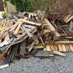 Timber free for firewood