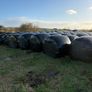 2026 Silage bales Image 7