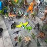 dinosaurs Image 3