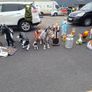 life Size Animals & Religious Statues. Image 3