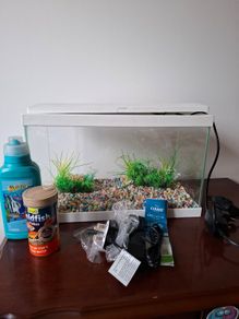 Aquarium