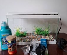 Aquarium