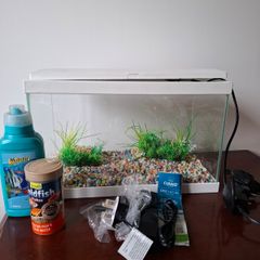 Aquarium