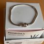 Pandora Silver Charm Bracelet Image 2