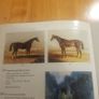 2 Coloured Art Catalogue.1x James Adams & Bonhams 2x Gorry Gallery Thomas Ryan  R.h.a. Image 5