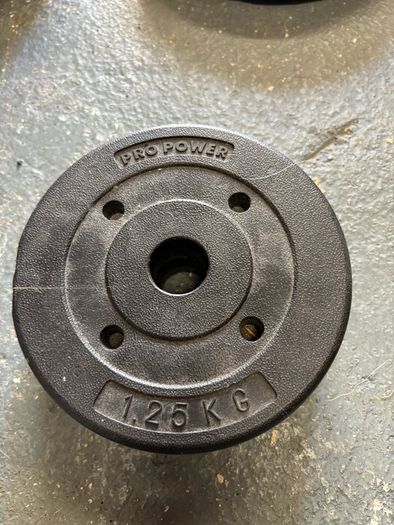 York and Pro Power weight plates.